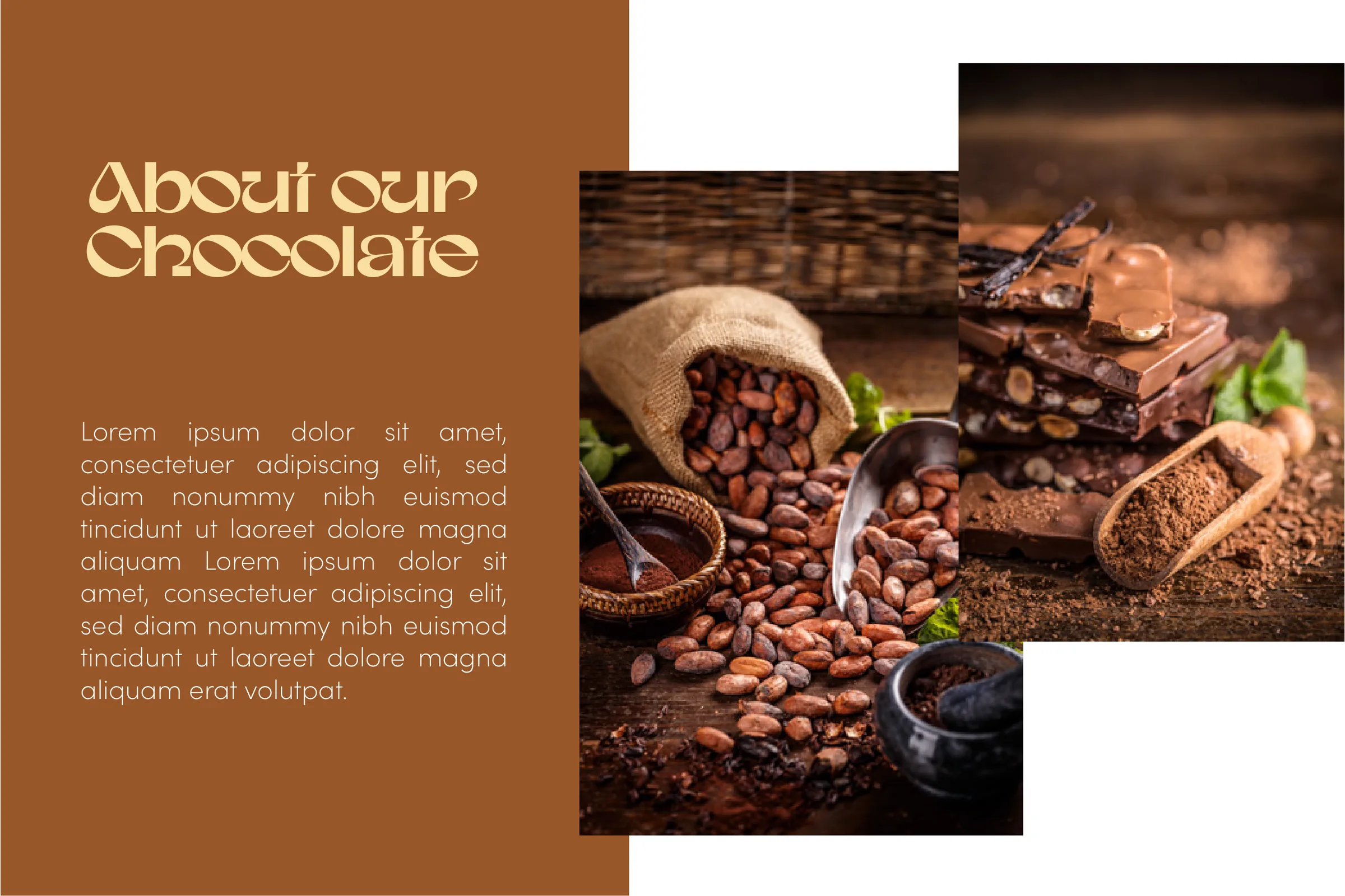Atelier Cacao website: about our chocolate