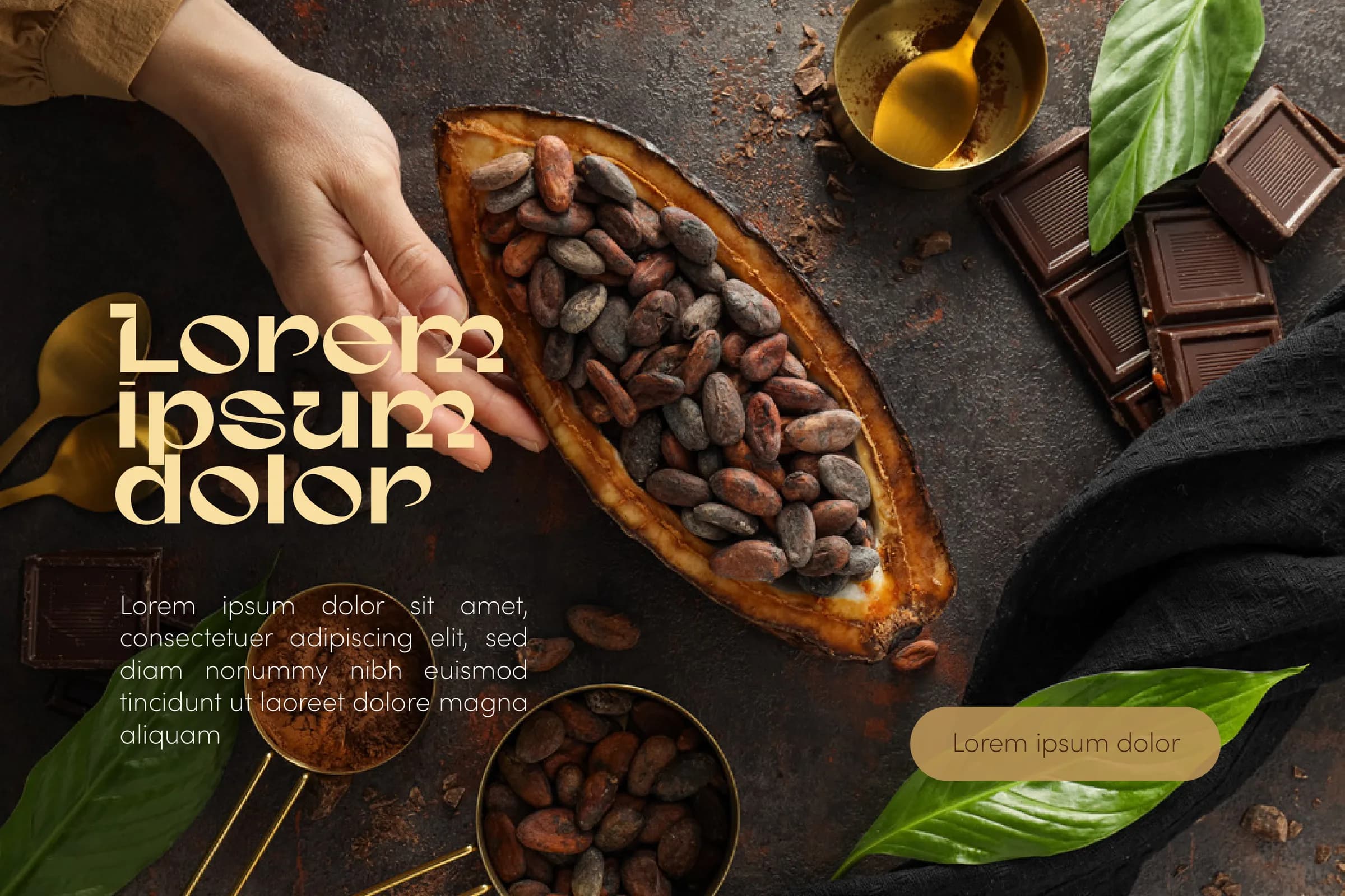 Atelier Cacao website hero with cacao pods