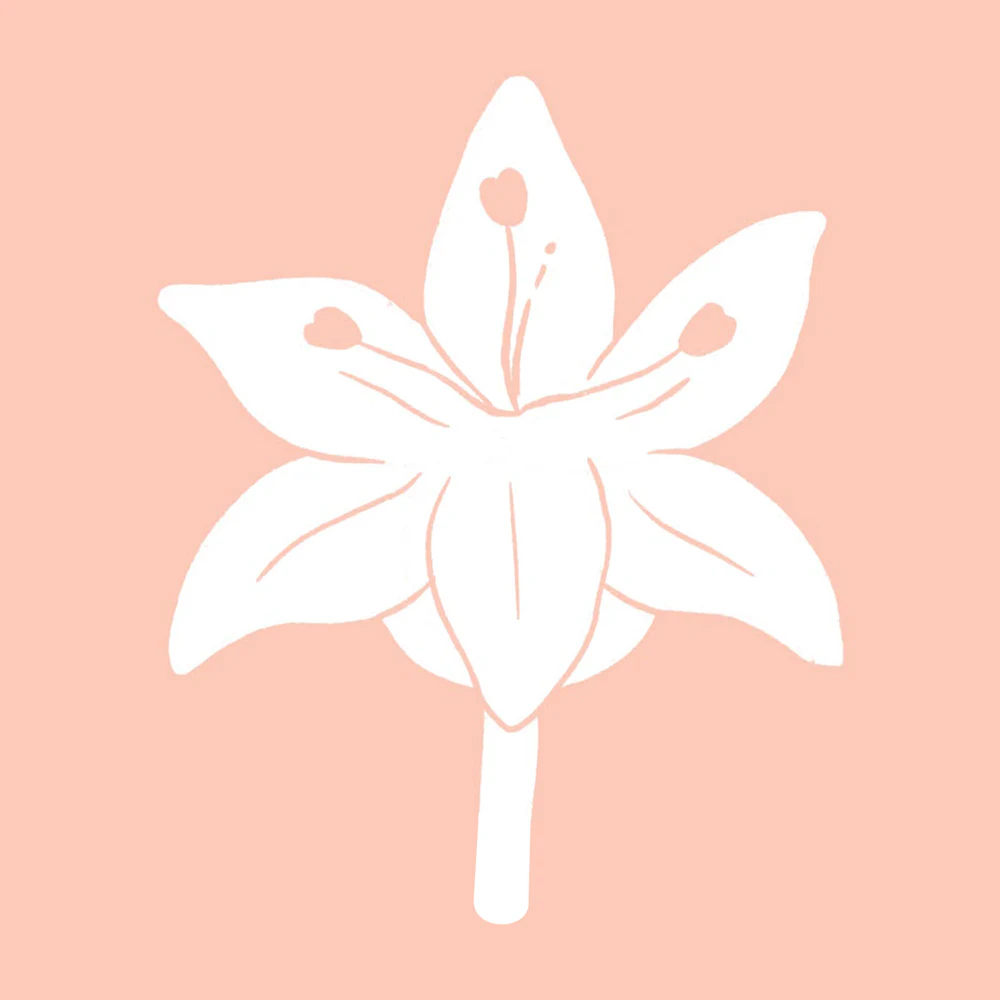 Digital Marketing: a lily in bloom